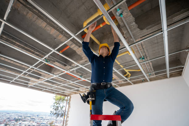 Best Emergency Plumbing Repair  in Staunton, IL