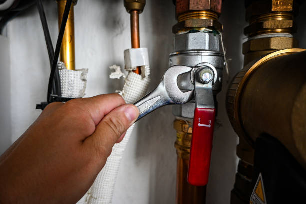 Best Emergency Plumber  in Staunton, IL